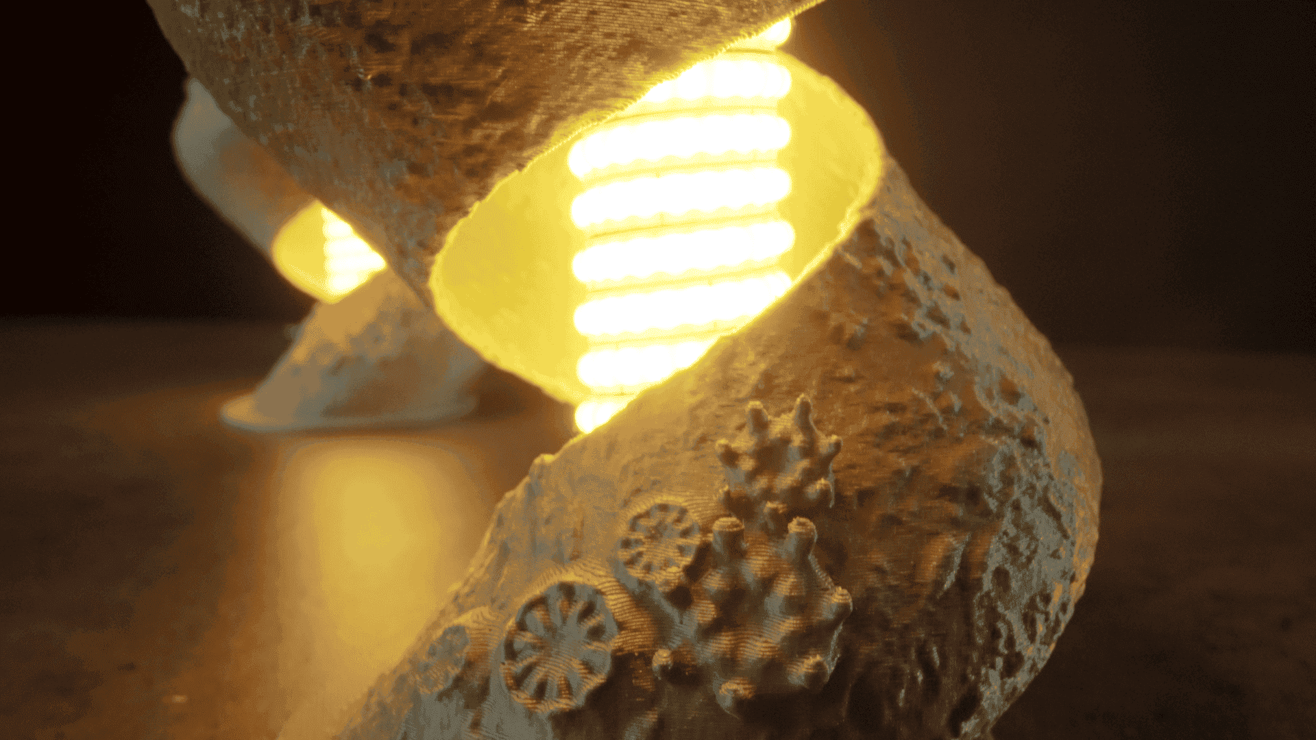 Leio - Image 4